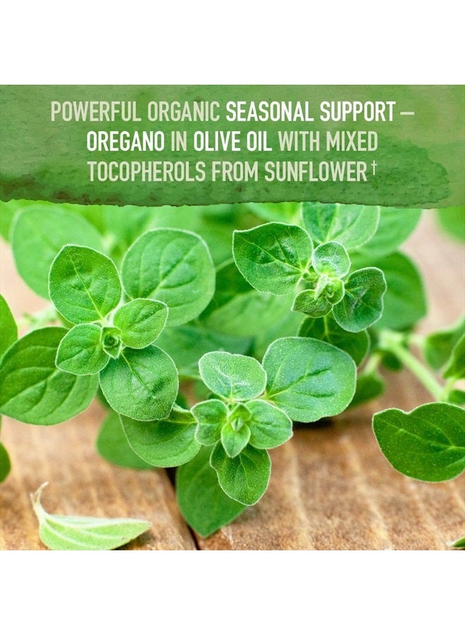 Garden of Life قطرات زيت الأوريجانو من mykind Organics، زيت الأوريجانو المركز السائل - 200 حصة، دعم مناعي موسمي نباتي - خالي من الكحول، عضوي، نباتي، مكملات عشبية خالية من الغلوتين - Image 2
