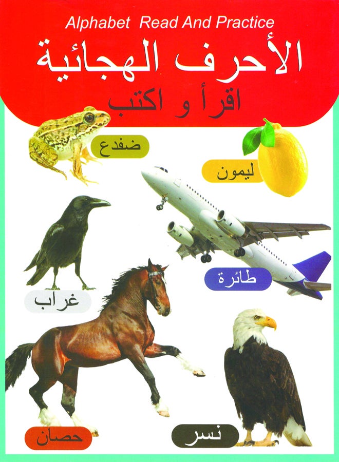 Alphabet Read And Practice - Image 1