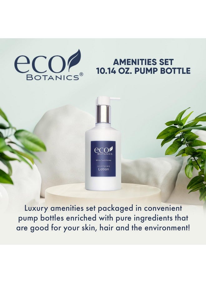 Terra Pure ; Eco Botanics Lotion Retail Size Hotel Amenities 10.14 Oz. (Single)  - Image 3