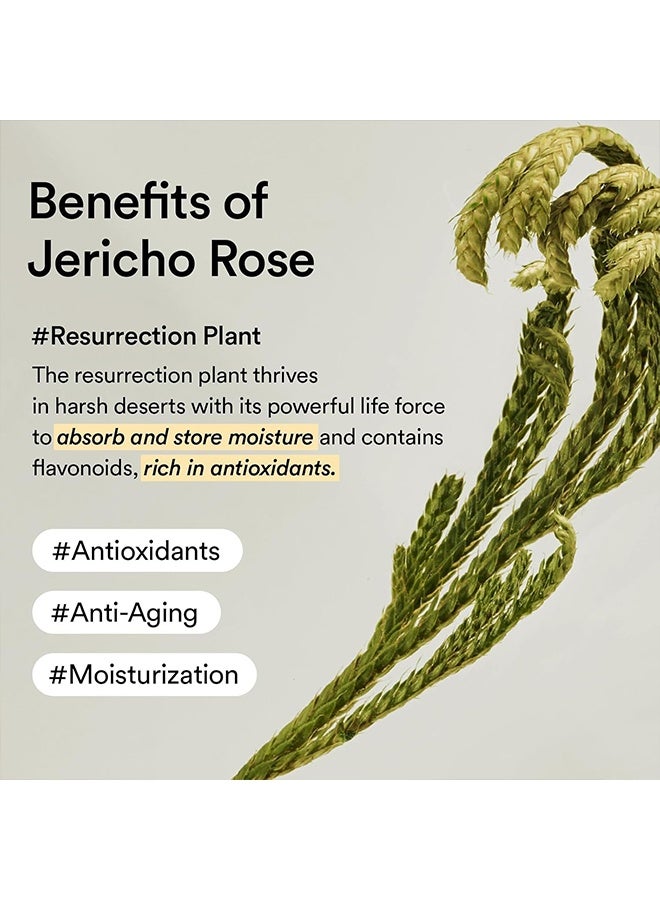 abib Collagen Eye Patch, Jericho Rose Jelly, For Puffy Eyes And Dark Circles, Anti-Wrinkle, Collagen - Image 4