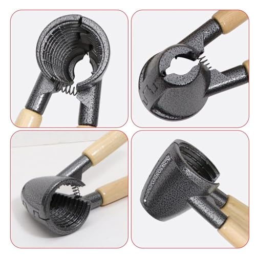 Prostuff.in® Luxury Die Cast Aluminium Alloy Clamp Plier Portable Smart Pincers Heavy Duty Bottle Opener for Pecans, Almonds, Brazil Nuts, Hazelnuts Pista Pecan Tool Nutcracker Wooden Handle 1 Pcs - Image 5