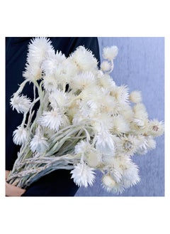 KASTWAVE Large Heads Dried White Daisy Flowers -Real Dried Silver Daisy Chamomile Flower Bundle for Vase Home Wedding Boho Office Decor, Dried Daisies, Home Furnishing, DIY Arrangement, 1 Bunch/40-50 Heads  - Image 1