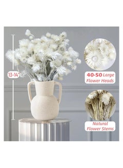 KASTWAVE Large Heads Dried White Daisy Flowers -Real Dried Silver Daisy Chamomile Flower Bundle for Vase Home Wedding Boho Office Decor, Dried Daisies, Home Furnishing, DIY Arrangement, 1 Bunch/40-50 Heads  - Image 5