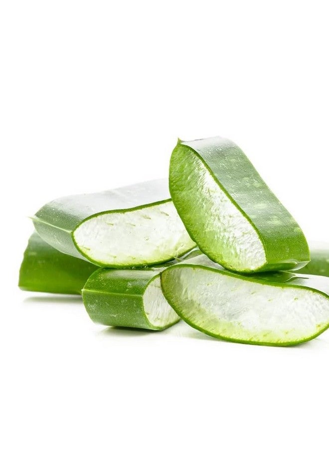 Olay Itchy Dry Skin Body Wash with Aloe Vera and Vitamin B3, 17 Fl Ounces - Image 4