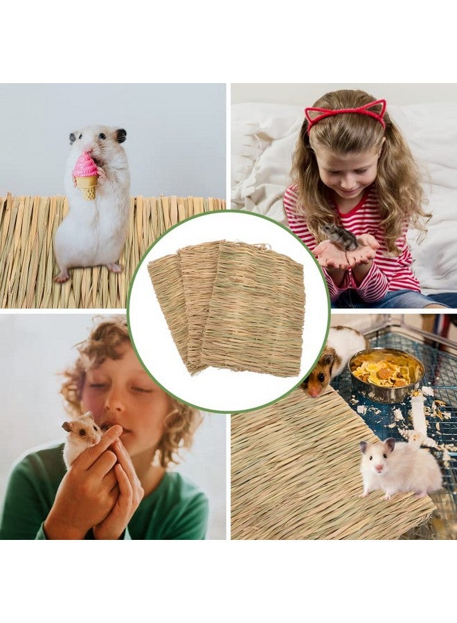 ANDES Bunny Toys 30PCS Guinea Pig Toys Rabbit Toys Accessories Natural Timothy Biscuit Hay Sticks Hamster Toys for Teeth Handmade Rabbit Chews and Treats Apple Wood Sticks Chinchilla Rat Teeth Molar - Image 5