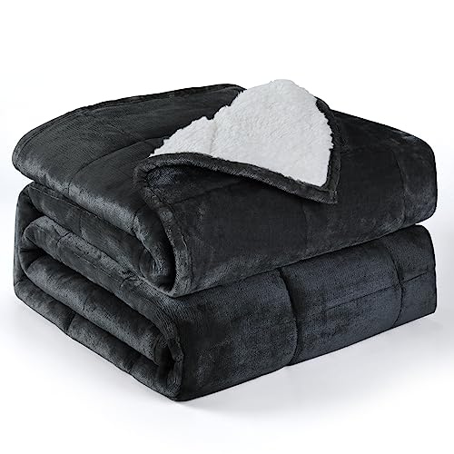 Alomidds Weighted Blanket (Queen Size 20lbs 60x80 inches) with Soft Plush Fleece, Throw Blanket with Cozy Warm Sherpa,Ultra Fuzzy Heavy Blanket Microfiberfor for Sofa Bed, Dark Grey - Image 1