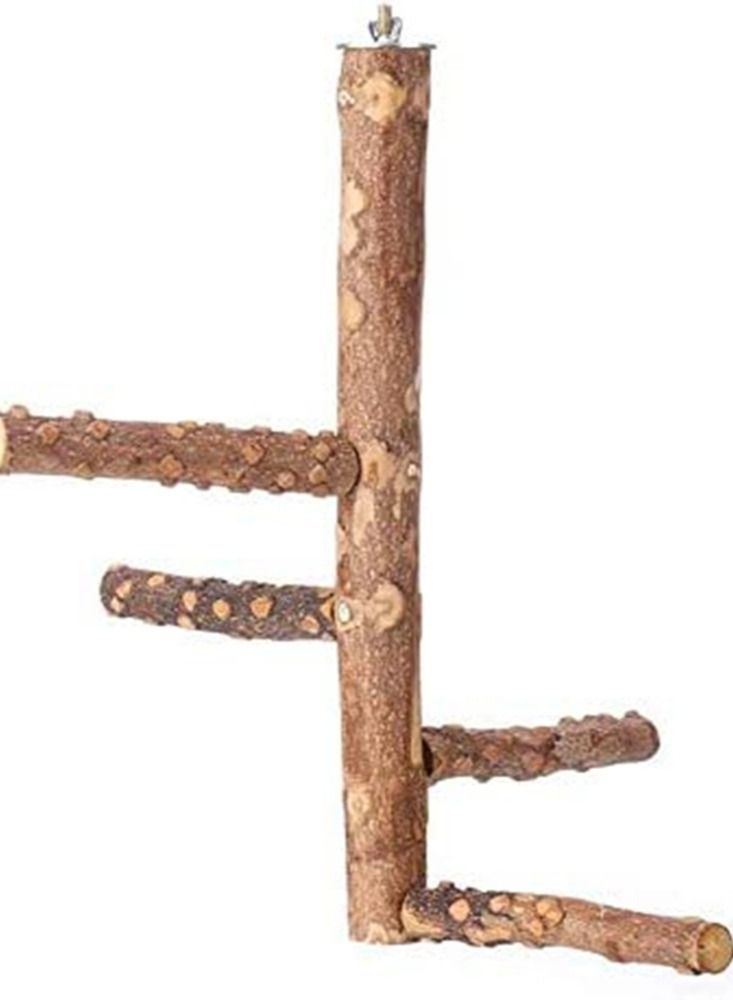 اكسيسن حامل خشبي طبيعي للطيور حامل خشب كينتور للطيور ملعب للطيور للببغاوات الصغيرة المتوسطة إكسسوارات الأقفاص - Image 2