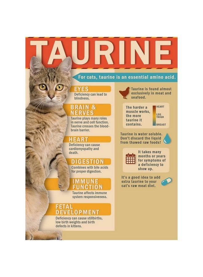 كات-مان-دو - رقائق البونيتو المجففة للحيوانات الأليفة، رقائق كبيرة جدًا - أكياس 4 أونصة - عبوة من قطعتين - Image 5