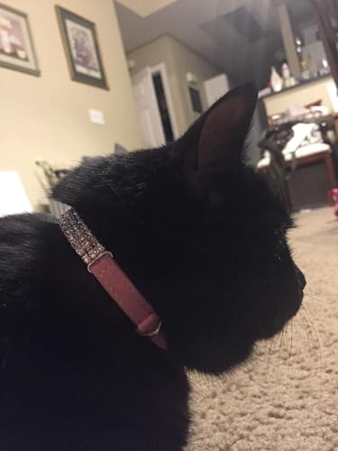 CHUKCHI Soft Velvet Safe Cat Adjustable Collar Bling Diamante with Bells,11 inch for Small Dogs and Cats (Pink) - Image 5