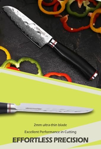 YOUSUNLONG Santoku Knife 5 inch Cutlery Knives Japanese 67 Layers Hammered Damascus Steel with Natural Leadwood - Image 4