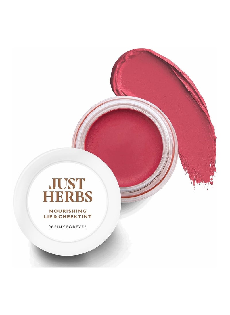 Just Herbs Just Herbs Ayurvedic Natural Lip and Cheek Tint Blush Creamy Matte  - Image 1