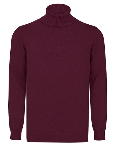 FELIX HARDY Turtleneck Pullover
