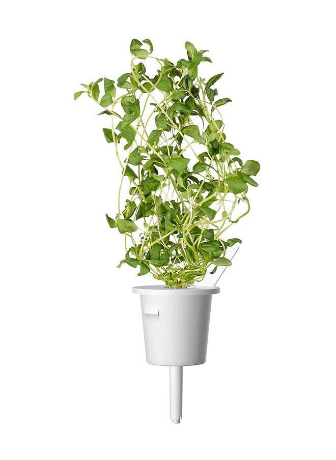 Click & Grow Marjoram - pzsku/Z2E960B97B88C8586505EZ/45/_/1726752520/e5ecb4cc-d4a8-4d72-b58f-a45bed15207d