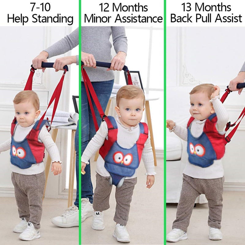 AVIZCVE Baby Walking Harness, Handheld Kids Walker Helper, New Upgrade Breathable and Adjustable Toddler Infant Walker Harness Assistant Belt with Instructions for 7-24 Month (Green) - Image 3
