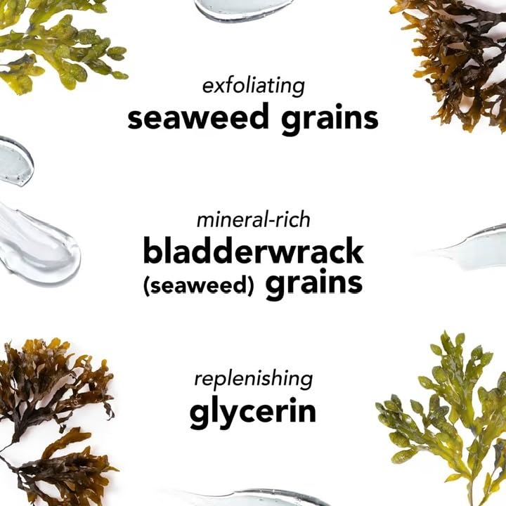 Mario Badescu Seaweed Cleansing Soap for All Skin Types |Creamy Cleanser that Gently Exfoliates |Formulated with Seaweed Grains & Bladderwrack Extract, 8 Fl Oz - Image 3