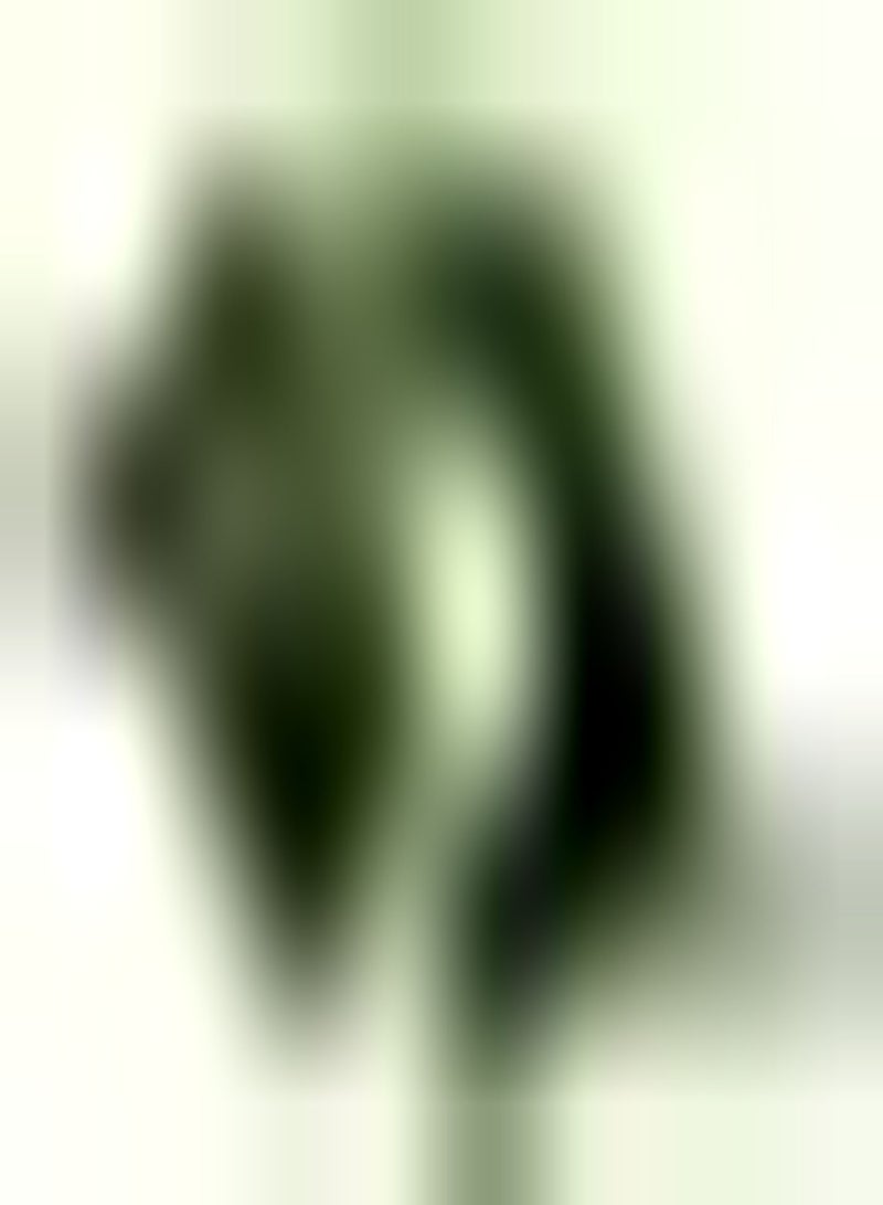 GGOOT 300pcs graines de céleri arôme agréable légumes verts bel environnement héritage légumes graines de céleri Pour la Plantation de Jardin - Image 1