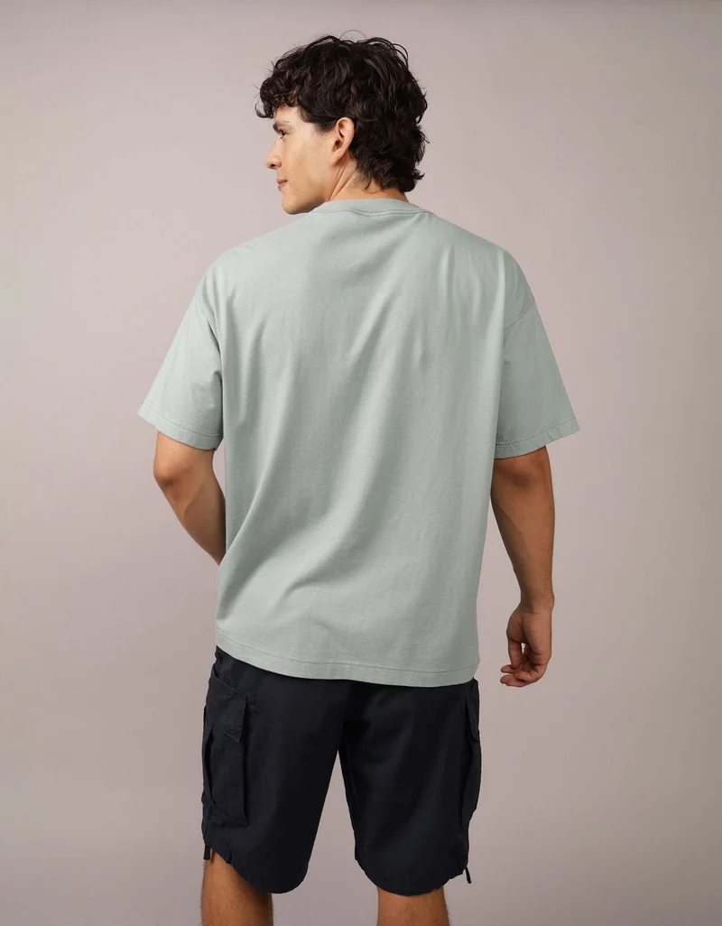 American Eagle  AE Destination Graphic T-Shirt for Men | Best Price UAE