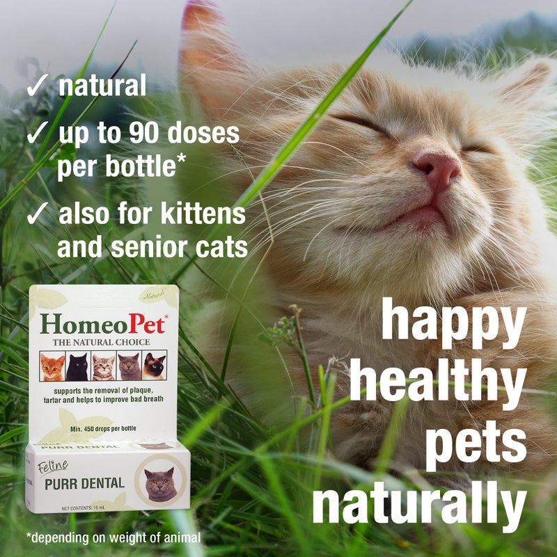 HomeoPet Feline Purr Dental, Safe and Natural Tooth and Dental Care for Cats, Cat Dental Care, 15 Milliliters - Image 4