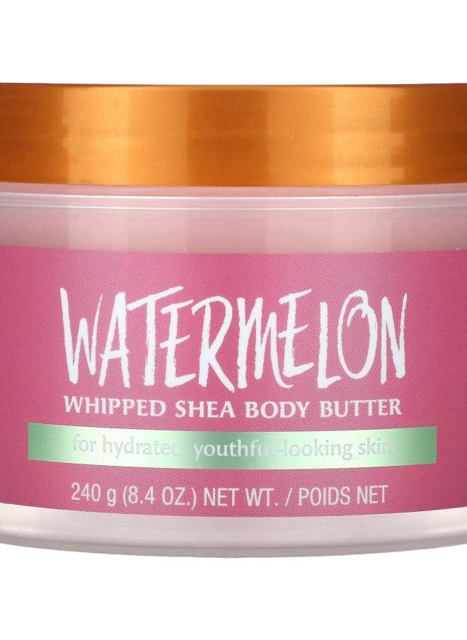 Tree Hut Whipped Shea Body Butter Watermelon 8.4 oz (240 g) 
