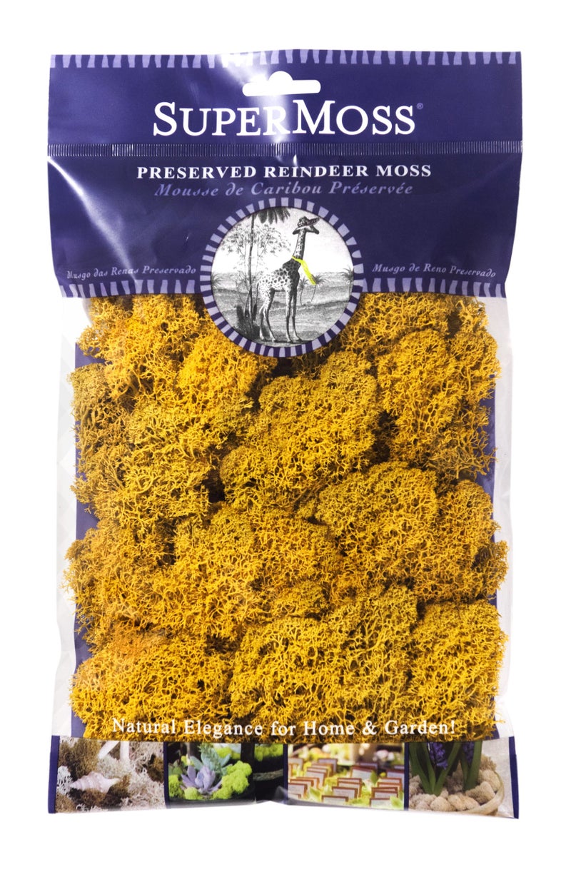 SuperMoss SuperMoss 25125 Reindeer Moss Preserved Mango 2oz 