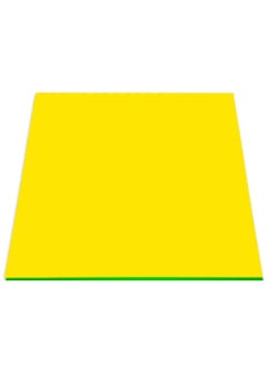 Terabyte 1-Piece Foam Boards 70x100cm Size White 5mm Thickness  - Image 1