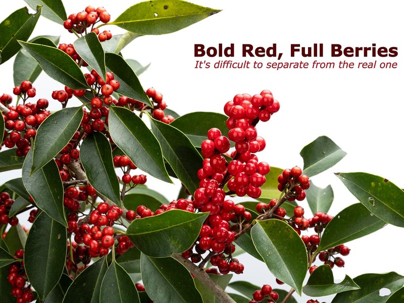 Artificial 32 Pcs Red Berry Stems, Lescli Holly Berry Stems Xmas Red Berry Picks with Fruit Clusters for Christmas Tree Decor Wreath Garland DIY Crafts Home Holiday Wedding Decoration - Image 4