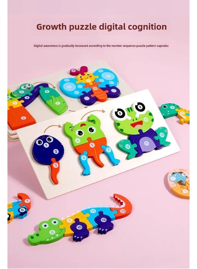 Early Childhood Education 3D Stereo Advanced Jigsaw of the Animal Growth Process Evolution from Tadpole to Frog Colorful Desktop Toy for Intellectual Cognition and Brain Development Wooden Puzzle Toy - Image 2