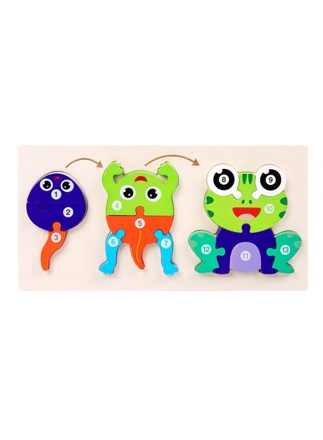 Early Childhood Education 3D Stereo Advanced Jigsaw of the Animal Growth Process Evolution from Tadpole to Frog Colorful Desktop Toy for Intellectual Cognition and Brain Development Wooden Puzzle Toy - Image 1