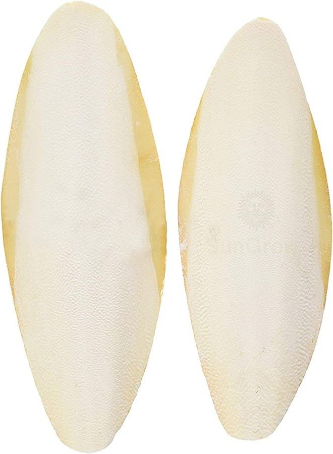 SunGrow Large Cuttlefish Bones for Cockatiels, Turtles, Shrimp, Dog Calcium Supplement, Cage Holder Included, 2 Pieces per Pack - Image 2