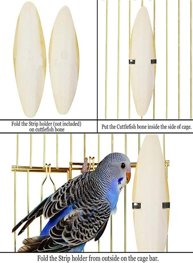 SunGrow Large Cuttlefish Bones for Cockatiels, Turtles, Shrimp, Dog Calcium Supplement, Cage Holder Included, 2 Pieces per Pack - Image 5