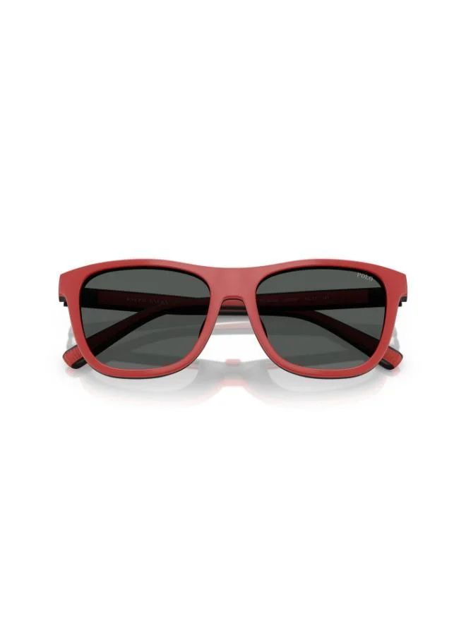 POLO RALPH LAUREN 0Ph4228U Square Sunglasses