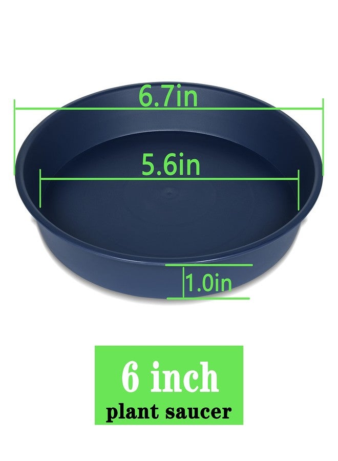 Bleuhome 6 Pack of 6 inch Plant Saucer Drainage Tray, 4 5 7 8 10 12 13 15 17 19 inch Plastic Plant Water Tray, Flower Saucers for Indoors, Plant Dishes for Pots Base (6 inch, Blue) - Image 2