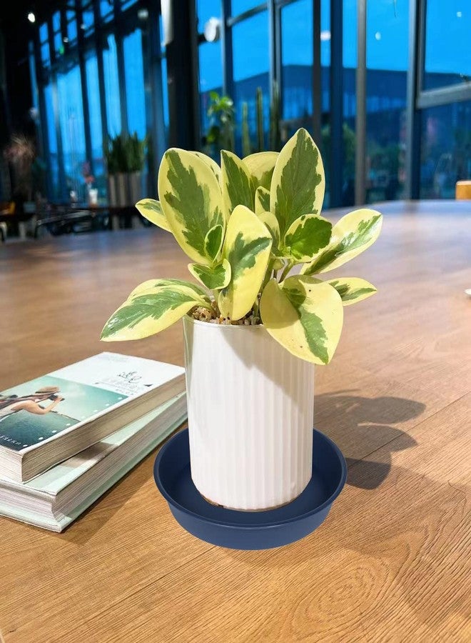 Bleuhome 6 Pack of 6 inch Plant Saucer Drainage Tray, 4 5 7 8 10 12 13 15 17 19 inch Plastic Plant Water Tray, Flower Saucers for Indoors, Plant Dishes for Pots Base (6 inch, Blue) - Image 3