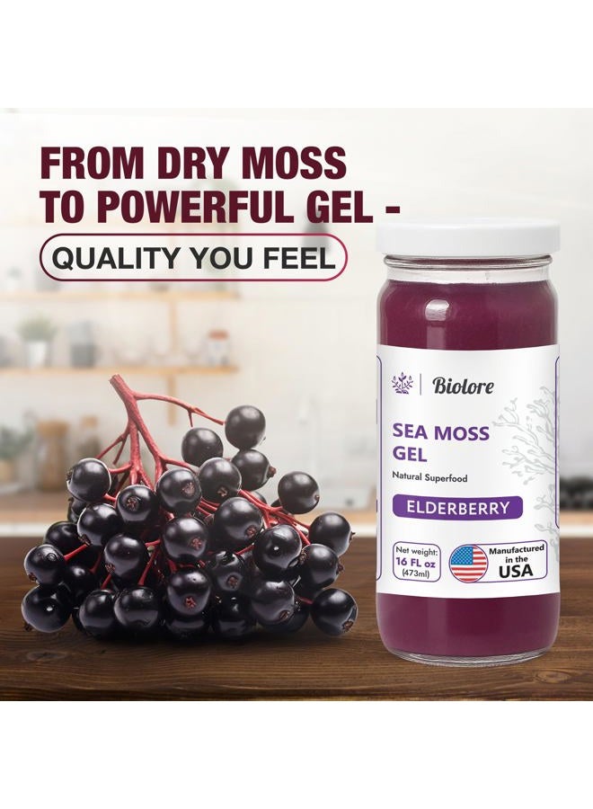 Biolore Sea Moss Gel - Elderberry 16oz, Wildcrafted Irish Seamoss with Essential Vitamins & Trace Minerals, Vegan Superfood Made in USA - Image 4