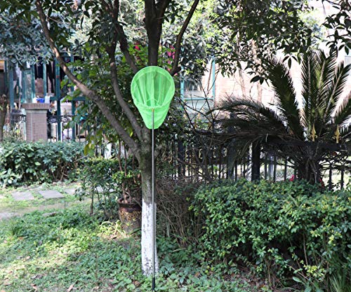 RESTCLOUD Bait Net and Fishing Landing Net with Telescoping Pole Handle Extends to 59 inches (Green) - Image 3