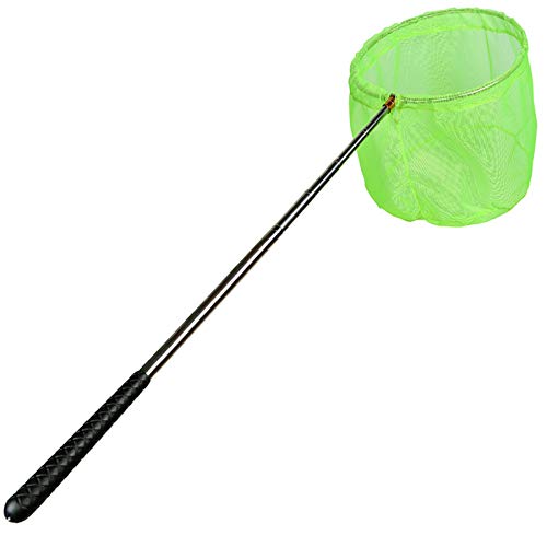 RESTCLOUD Bait Net and Fishing Landing Net with Telescoping Pole Handle Extends to 59 inches (Green) - Image 1