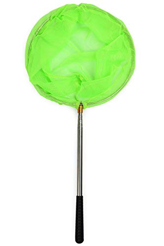 RESTCLOUD Bait Net and Fishing Landing Net with Telescoping Pole Handle Extends to 59 inches (Green) - Image 5