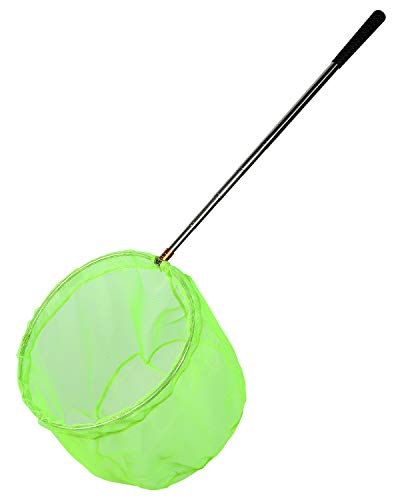 RESTCLOUD Bait Net and Fishing Landing Net with Telescoping Pole Handle Extends to 59 inches (Green) - Image 2