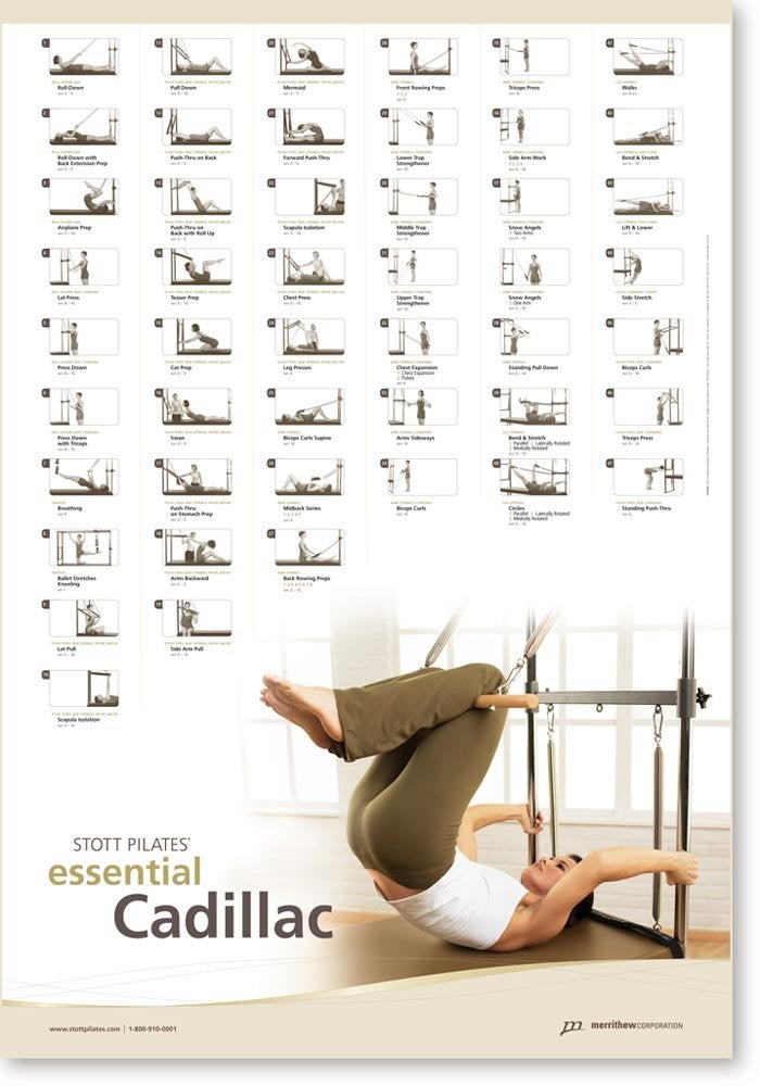 STOTT PILATES مخطط الجدار الأساسي لستوت بيلاتيس 2700 × 3900