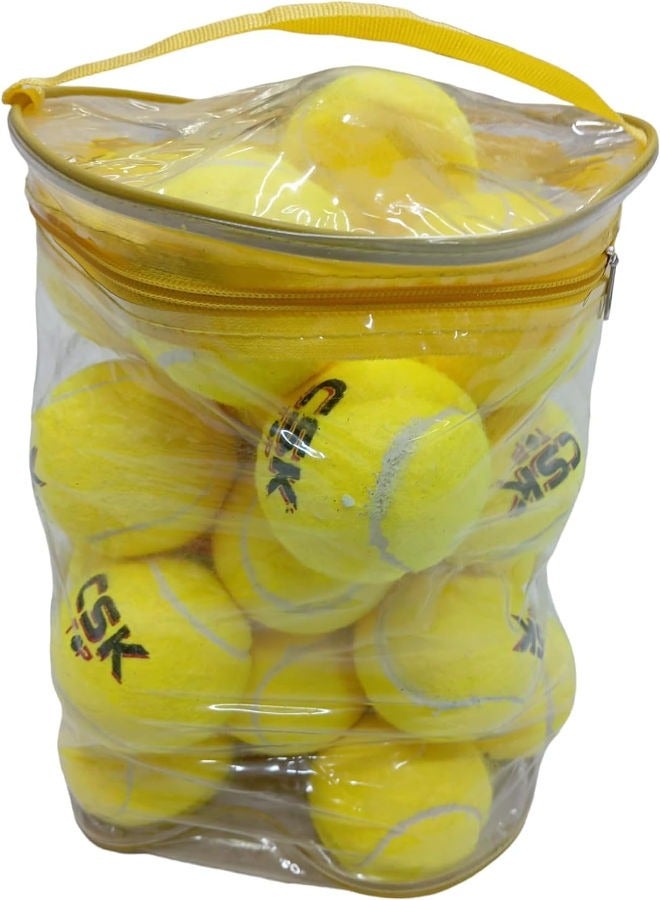 Generic CRICKET TENNIS BALLS (Pack of 20 - Image 1