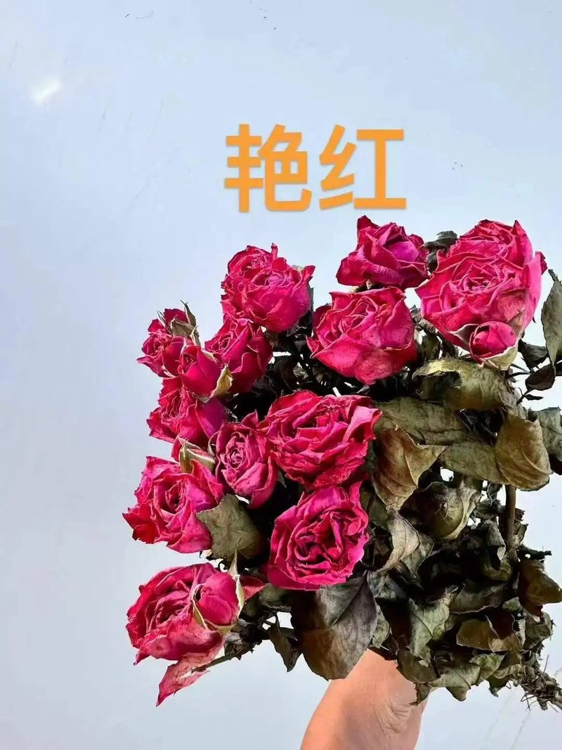 Bluejw 10pcs Natural Dried Rose Bouquet - Eco-Friendly Real Flowers for Home Decor, Valentine's Day, Mother's Day, Graduation Gifts - Dried Plants Included - Image 1