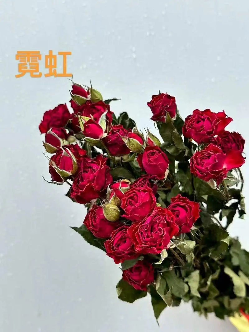 Bluejw 10pcs Natural Dried Rose Bouquet - Eco-Friendly Real Flowers for Home Decor, Valentine's Day, Mother's Day, Graduation Gifts - Dried Plants Included - Image 5