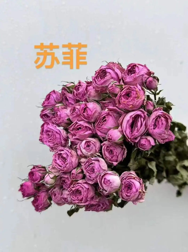 Bluejw 10pcs Natural Dried Rose Bouquet - Eco-Friendly Real Flowers for Home Decor, Valentine's Day, Mother's Day, Graduation Gifts - Dried Plants Included - Image 4