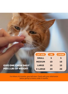 Pet Honesty Cat Hip & Joint Health Chews  Glucosamine For Cats, Cat Joint Support Supplement, Cat Health Supplies & Hip Support, Cat Vitamins For Indoor Cats & Outdoor Cats  Chicken (30Day Supply)  - Image 4