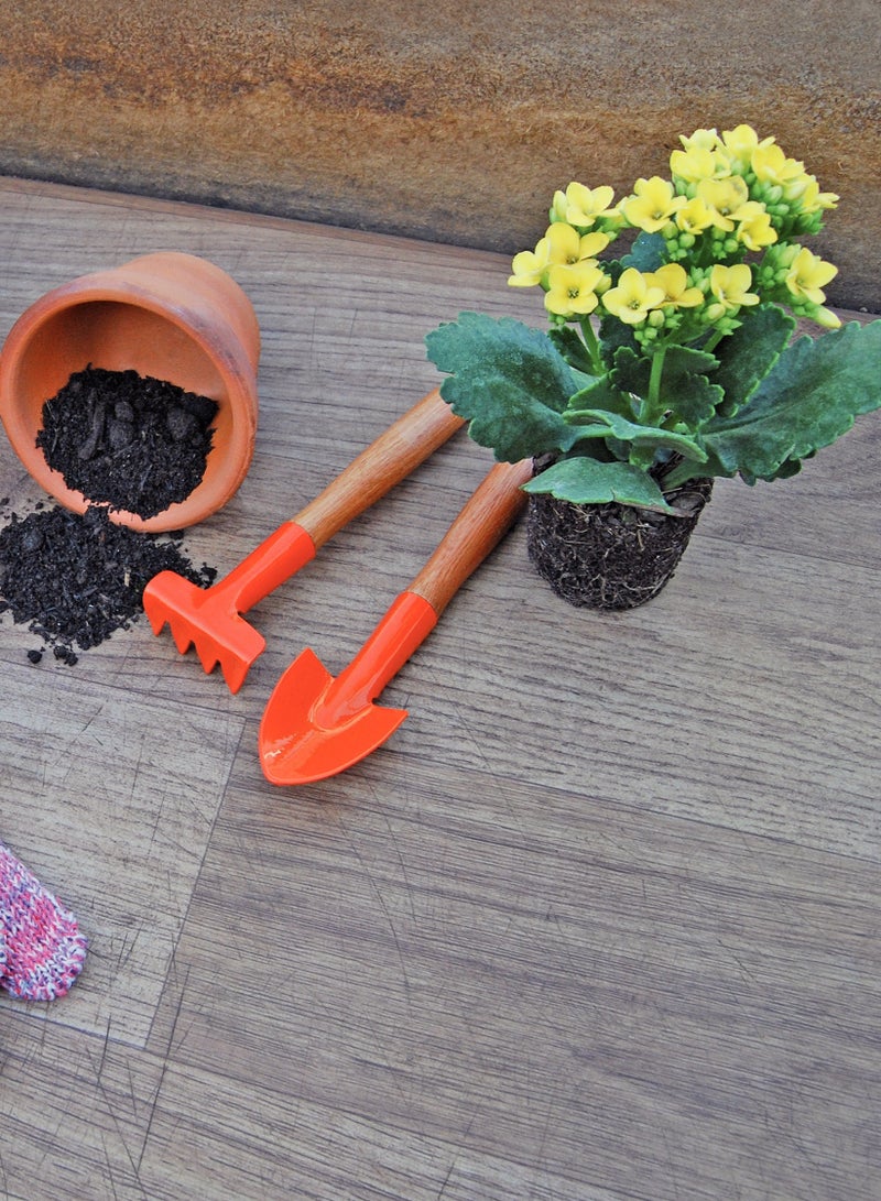 Tramontina 4 Pieces Garden Tool Set with Special Carbon Steel and Wood Handle includes Garden Trowel + Transplanting Trowel + 3 Teeth Garden Fork + 4 Teeth Cultivator - Image 4