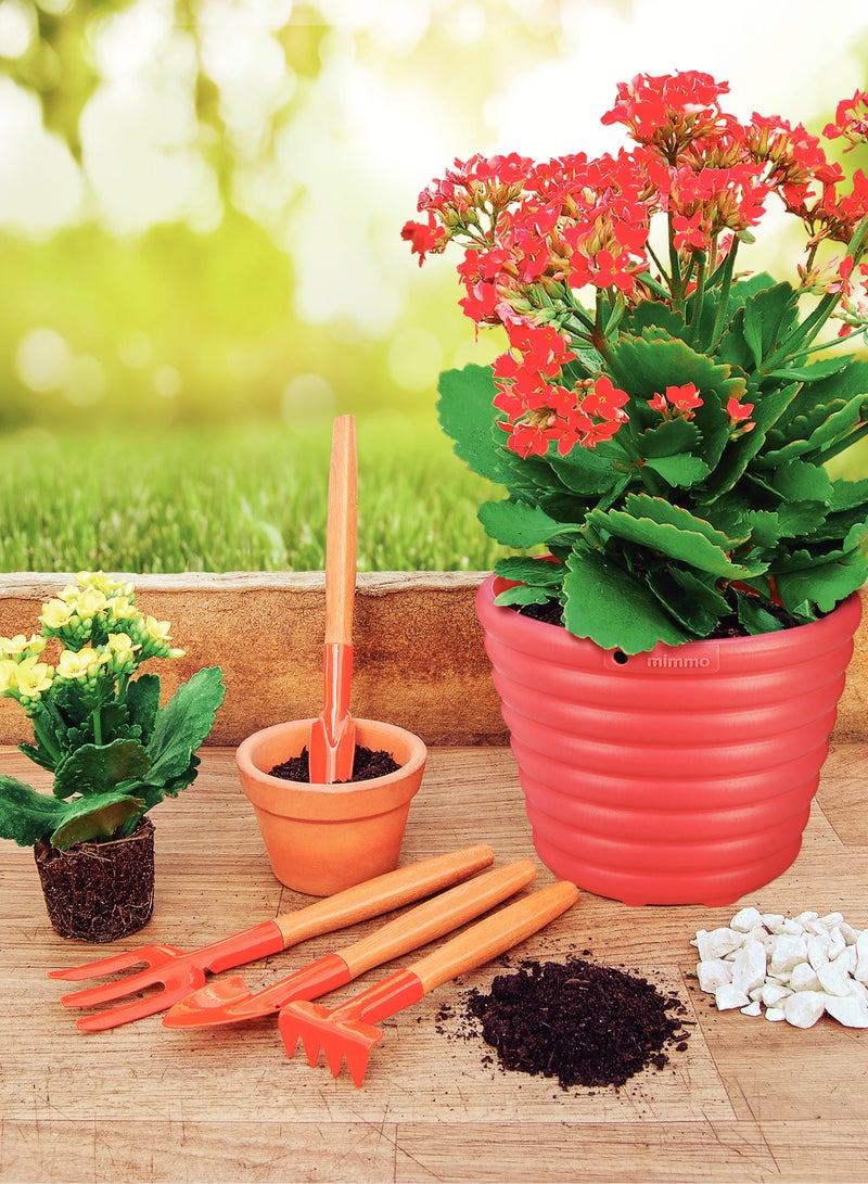 Tramontina 4 Pieces Garden Tool Set with Special Carbon Steel and Wood Handle includes Garden Trowel + Transplanting Trowel + 3 Teeth Garden Fork + 4 Teeth Cultivator - Image 3