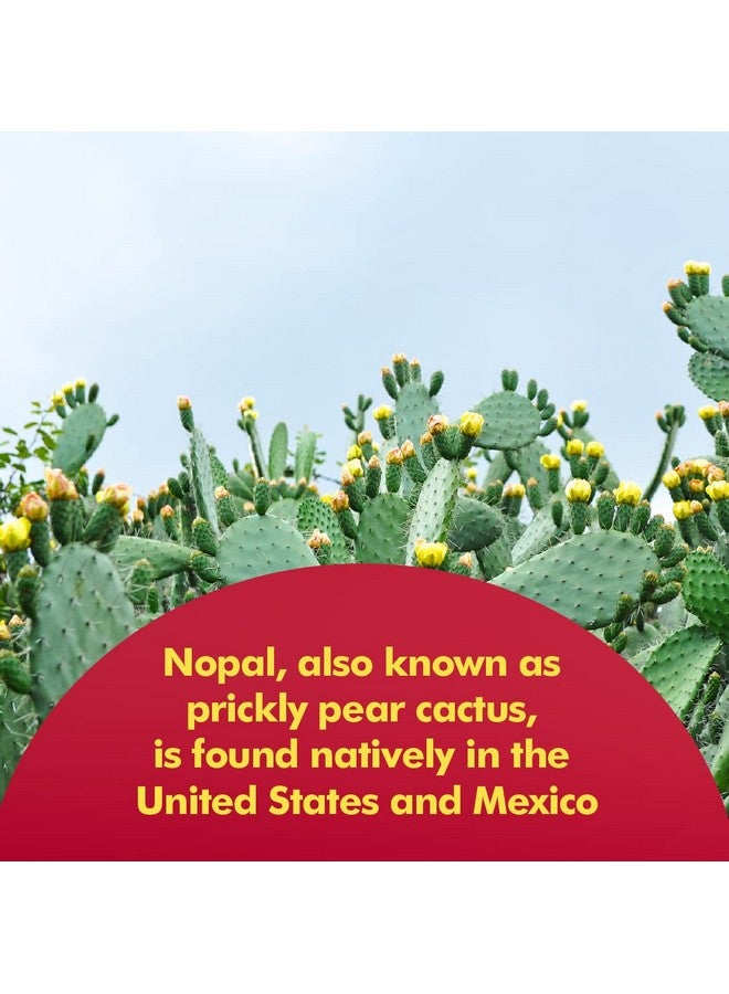 Santo Remedio Nopal, Sugar and Gluten Free Dietary Supplement, Prickly Pear Cactus Dietary Supplement, 700 mg, 180 Capsules, 90 Servings Per Container - Image 4