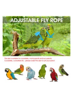 KASTWAVE Bird Training Leash Adjustable Parrot Flying Strap Rope Universal Flying Traction Lead Durable Outing Gadget Outdoor Training Toy for Birds Parrot Cockatiel Parakeet Lory  - Image 3