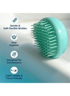 GUBB Tangle Eraser Detangling Brush | Reduces Hair Breakage & Damage | Suitable For All Hair Type | Faster N Easier Detangle Wet Or Dry Hair With No Pain | Color May Vary - Scottish Range  - Image 3