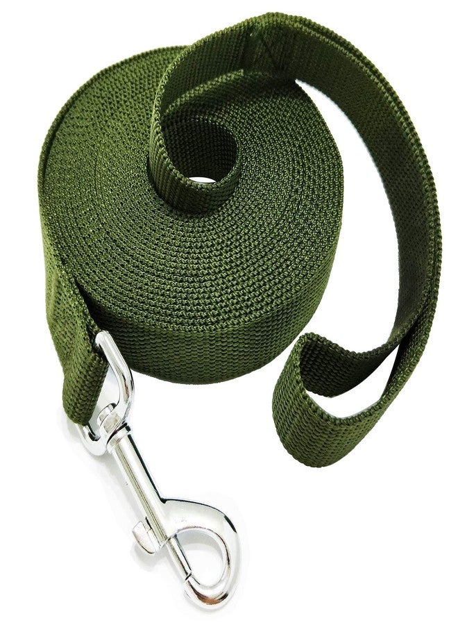 TAIDA 20ft 30ft 40ft 50ft Nylon Long Training Dog Leash for Small Medium Large Dogs, Long leashes Dog/Puppy Lead for Obedience Recall Training, Camping, or Backyard, 1 inch Wide (20 Foot, Green) - Image 1